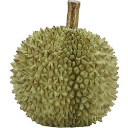 Eξωτικό φρούτο Durian πράσινο χρ19.5cm