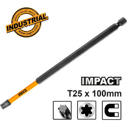 Κατσαβιδόμυτη Torx Impact T25x100mm