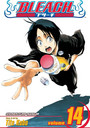 Bleach, Vol. 14 Bleach, Vol. 14