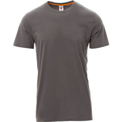 ΜΠΛΟΥΖΑΚΙ T-SHIRT SUNSET ΓΚΡΙ 150GR PAYPER 02000342