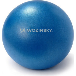 Wozinsky Rehabilitation Exercise Ball 25cm - Blue - (WPDP-N22)