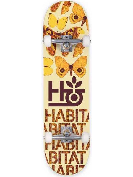 Habitat Insecta