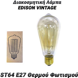 Διακοσμητική Λάμπα Edison Vintage St64 e27 Θερμού Φωτισμού