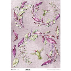 Ριζόχαρτο colibri 42x29.7εκ. (ITD-R049L)
