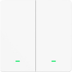 Διακόπτης Τοίχου Wi-Fi Gosund SW9 Χωνευτός με Πλαίσιο και Δύο Πλήκτρα Λευκός (SW9)