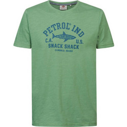 Petrol Industries Logo Print T-Shirt Green Ivy M-1030-TSR669-6153 Light Green