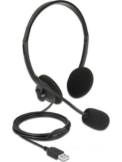 DeLOCK 27178 On Ear Ακουστικά Υπολογιστή με Μικρόφωνο & USB-A