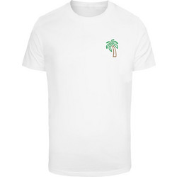 Coconut Tree