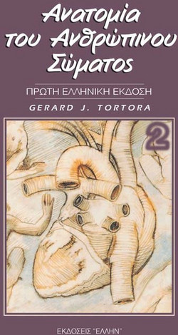Ανατομία του ανθρώπινου σώματος