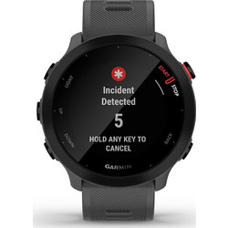 Garmin Forerunner 55 Monterra Grey
