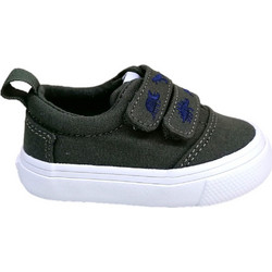Toms Παιδικά Sneakers Κυπαρισσί 10020535