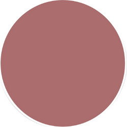 Magnetic Nails 106910 Nude Rose Plasti Gel