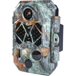 Braun Phototechnik Black500