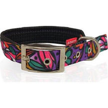 Pet Interest Neoprene Primavera Κολάρο Σκύλου Πολύχρωμο 2.5x65cm