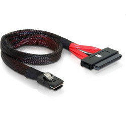 DeLOCK 83056 Καλώδιο Τροφοδοσίας SAS to SAS 0.5m Black