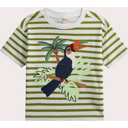 Dpam Παιδικό T-Shirt Κοντομάνικο Πράσινο Mint 25S902T1TMC