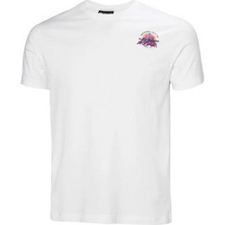 Helly Hansen Core Graphic 2.0 Ανδρικό Αθλητικό T-Shirt Λευκό 54599-002
