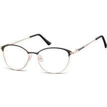 Sunoptic 891A Ανδρικός Σκελετός Γυαλιών Οράσεως Μεταλλικός Χρυσός