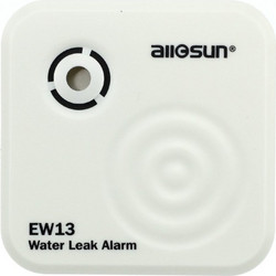 Realsafe EW-13