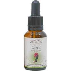 Crystal Herbs Larch Ανθοΐαμα σε Σταγόνες για Αυτοπεποίθηση 25ml