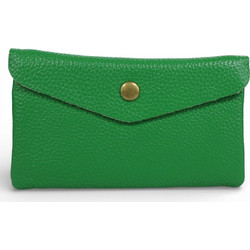 Passaggio Leather Μεγάλο Δερμάτινο Γυναικείο Πορτοφόλι με Clip Πράσινο 9338-PG-06