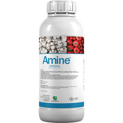 Emphyton Amine Υγρός Βιοδιεγέρτης 1lt
