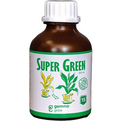 Gemma Super Green Υγρό Υδατοδιαλυτό Λίπασμα Χηλικού Σιδήρου 250ml