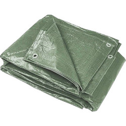 Bormann BTR2000 4m x 6m 60gr/m