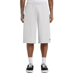 Dickies Αθλητική Ανδρική Βερμούδα Γκρι DK0A885BA281