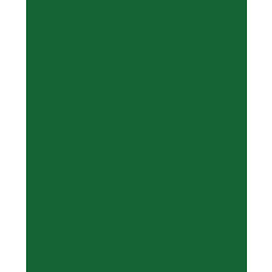 Canson Colorline Χαρτόνι Κανσόν Κυπαρισσί 50x70cm 105741145