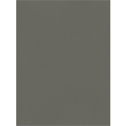 Favini Χαρτόνι Κανσόν Ανθρακί 50x70cm 831.5070.07T