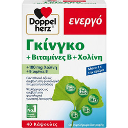 Doppelherz Ginkgo B-Vitamins Choline 40 Κάψουλες