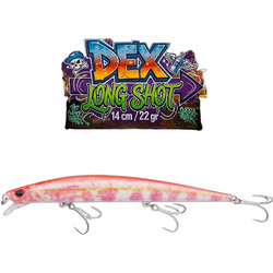 Berkley DEX Long Shot Τεχνητό Δόλωμα Ψαράκι 14cm 22gr Triglia
