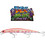 Berkley DEX Long Shot Τεχνητό Δόλωμα Ψαράκι 14cm 22gr Triglia