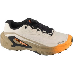 Salomon Genesis 2 GTX Γυναικεία Αθλητικά Παπούτσια Trail Running Εκρού L45388200