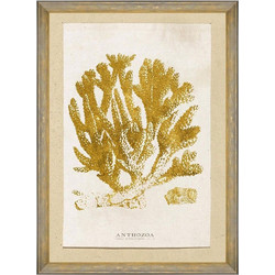 Κάδρο Caribbean Sea Life - Anthozoa Coral FA13223 50X70 MindTheGap Κάθετοι Ξύλο