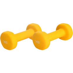 Pegasus Neoprene B-7910-10 Σετ Βαράκια Εξάγωνα Βινυλίου 2x1kg