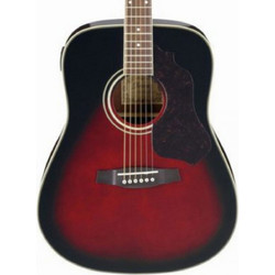 Ibanez SGT120E-VBS