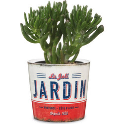 Scheurich Retro Garden Mini-Jardin 870