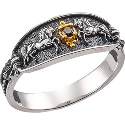 Anastasios Creations Δαχτυλίδι Άλογο από Ασήμι 925 FD682