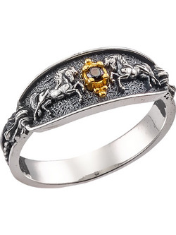 Anastasios Creations Δαχτυλίδι Άλογο από Ασήμι 925 FD682