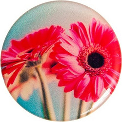 Hot Pink Bloom