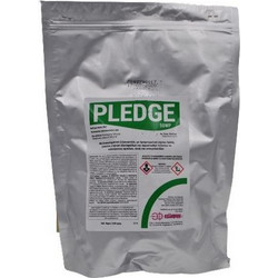Pledge 50WP 5x80gr
