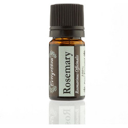 Evergetikon Αιθέριο Έλαιο Δεντρολίβανο 5ml
