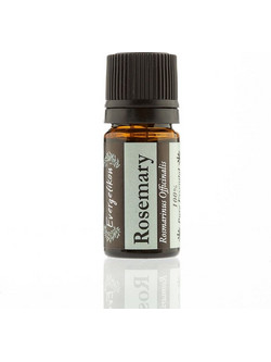 Evergetikon Αιθέριο Έλαιο Δεντρολίβανο 5ml