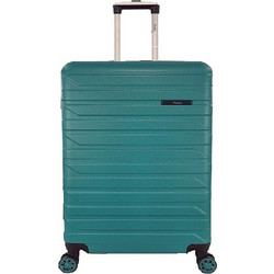 Rain RB8081 55cm Petrol