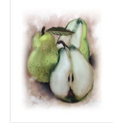 Ρόλερ Μονόχρωμο Ψηφιακής Εκτύπωσης E119 Pears Anartisi