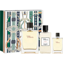 Hermes Terre D'hermes Eau de Toilette 100ml + After Shave 40ml + Eau de Toilette 12.5ml