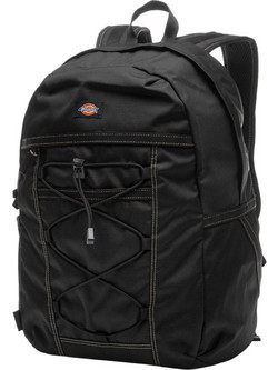 Dickies Ashville DK0A4Y33-BLK Σακίδιο Πλάτης Μαύρο