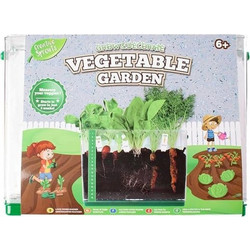 Grow & Decorate Vegetable Garden με Καρότο Ραπανάκι Σπανάκι από 6+ Ετών